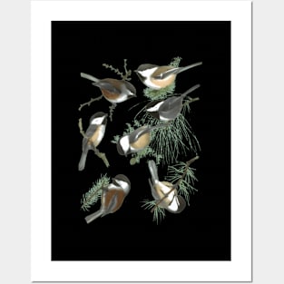 Chickadee Posters and Art